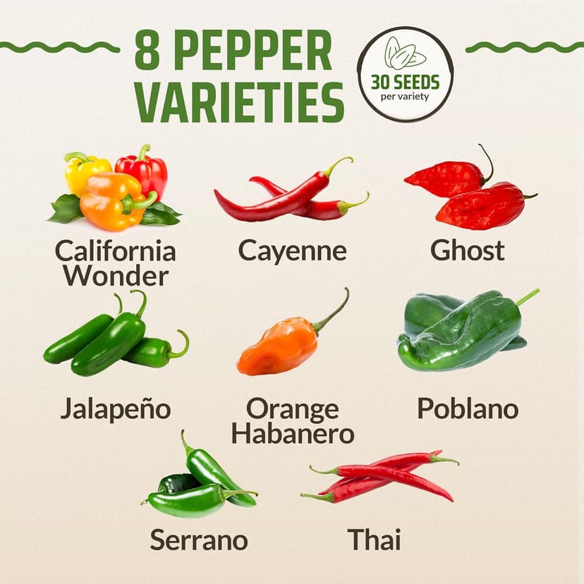 Rooted Acre 8 Varieties Hot Peppers – 240 Heirloom Seeds, 𝗡𝗢𝗡-𝗚𝗠𝗢 𝗨𝗦𝗔-𝗦𝗢𝗨𝗥𝗖𝗘𝗗, High Germination – Includes Ghost, Jalapeño, Serrano, California Wonder & More – Spicy Pepper Garden Mix