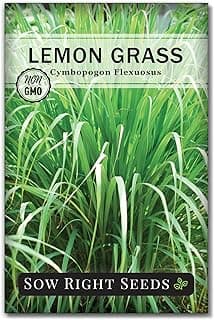 Sow Right Seeds - Lemon Grass Seed for Planting - Non-GMO Heirloom Packet with Instructions for Easy Planting and Growing an Herb Garden - Indoor or Outdoors - Delicious Culinary Herb (1)
