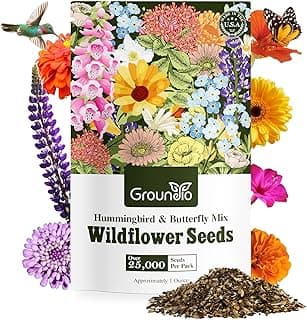 Wildflower Seeds Hummingbird and Butterfly Mix 1 Ounce, No Filler, 24 Varieties Flowers Seeds to Plant Outside, Annual Perennial, Bulk Resealable Package