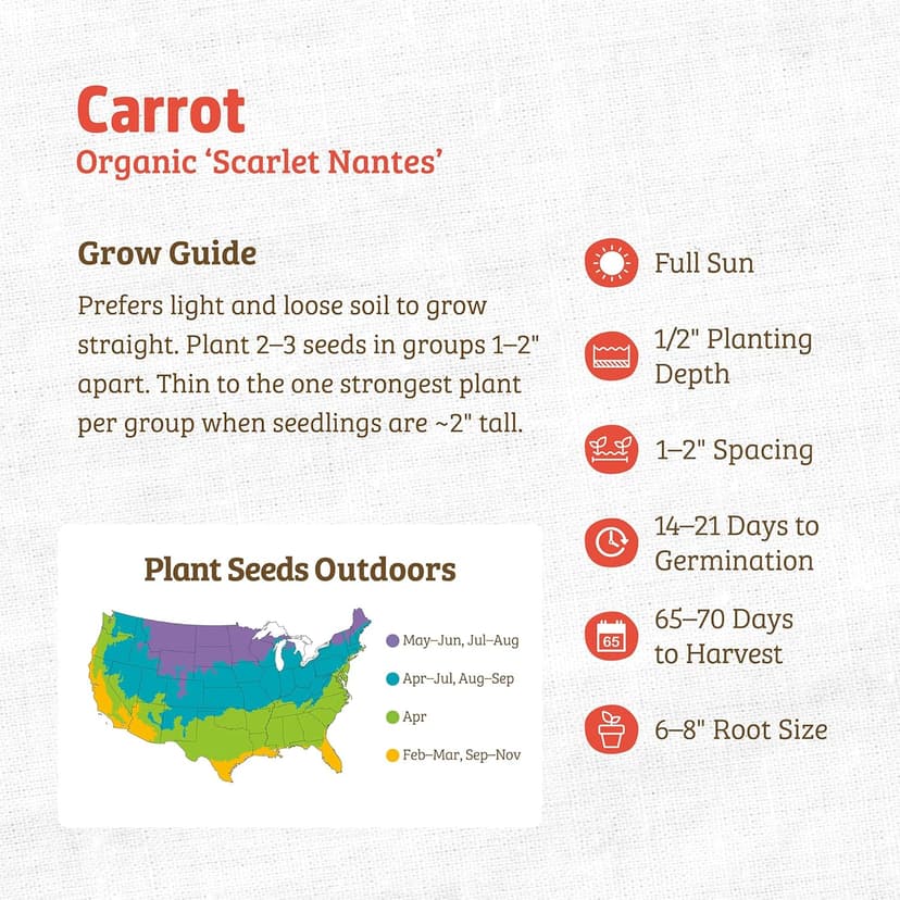 Seed Packet - Carrot 'Scarlet Nantes' 420mg