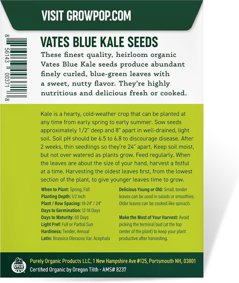 Organic Kale Seeds (Vates Blue Scotch Curled) - Approx 500 Seeds - USDA Organic, Non-GMO, Open Pollinated, Heirloom, USA Origin