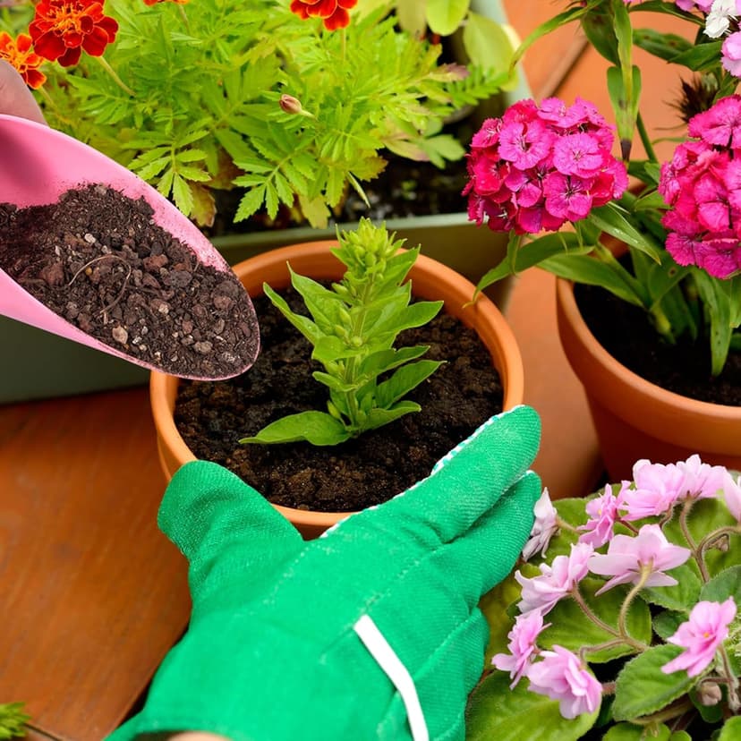 12pcs Garden Shovel Hand Tools Transplanting Succulent Cultivation Digging Scoops Kits Plastic for Flower Planting Bonsai Potting Soil Indoor(Pink Blue Green)