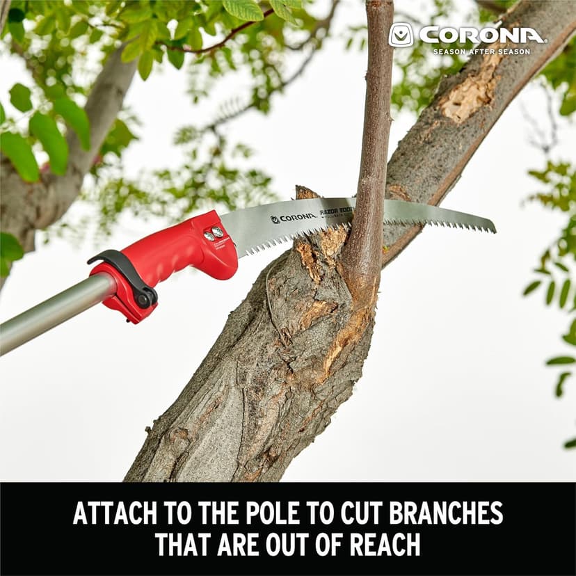 Corona FlexREACH System Detachable RazorTOOTH Saw(TM) Head