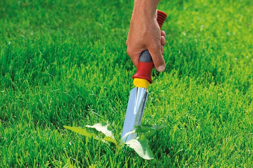 Wolf-Garten KS2K Weeding/Planting Knife Fixed Hand Tool, Red, 39.2x2.96x2 cm
