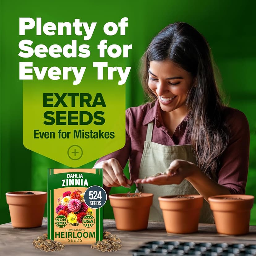 HOME GROWN Zinnia Dahlia Seeds Pack for 2025 – 524 𝗡𝗢𝗡-𝗚𝗠𝗢 𝗨𝗦𝗔 Flower Seeds | Vibrant Zinnia Elegans for Pollinator Gardens, Borders & Containers | Easy-to-Grow Outdoor Blooms