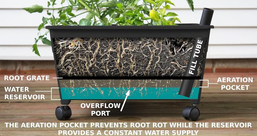 Emsco Group City Picker Raised Bed Grow Box – Self Watering and Improved Aeration – Mobile Unit with Casters
