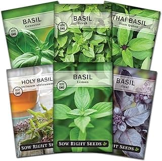 Sow Right Seeds - Large Basil Seed Collection for Planting - Genovese, Greek, Opal, Thai, and Lemon Basil - Non-GMO Heirloom Packets to Grow Indoors or Outdoor - Kitchen Herb Gardening f1