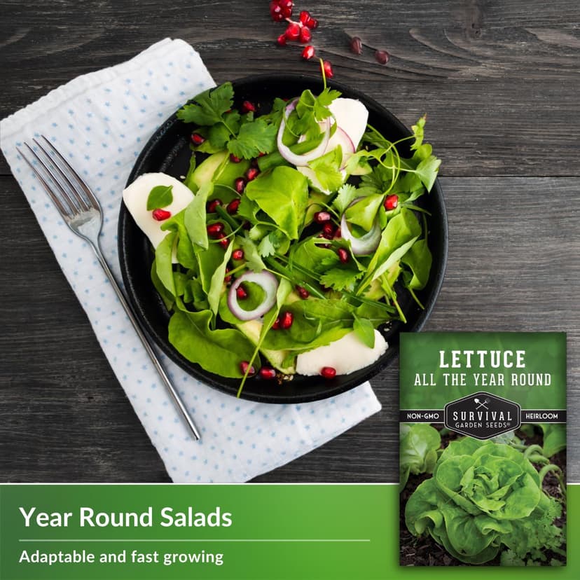 All The Year Round Lettuce Seed for Planting - 1 Packet with Instructions to Plant & Grow Adaptable Salad Greens in Your Home Vegetable Garden - Non-GMO Heirloom Variety - Survival Garden Seeds