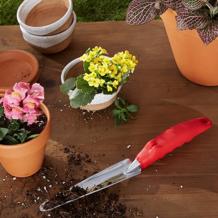 Corona CT 3050I Weeder