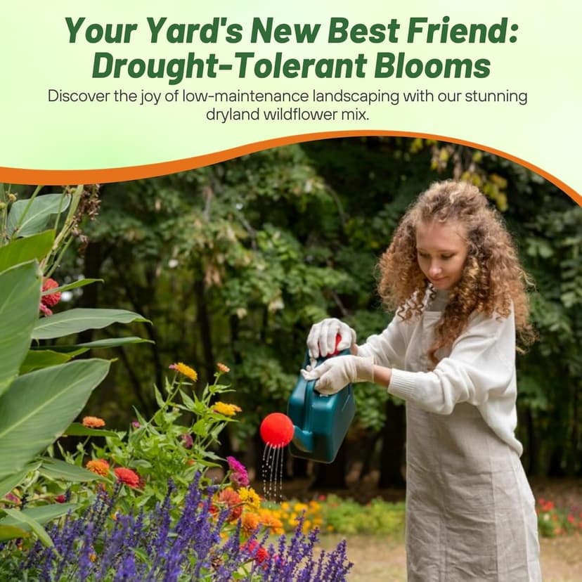 Outsidepride Dryland Wildflower Seed Mix - 1 lb. Colorful Blend of Drought Tolerant, Annual and Perennial Wildflower Seeds for Attracting Pollinators in Arid States & Xeriscapes