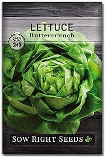 Sow Right Seeds - Buttercrunch Lettuce Seeds for Planting - Non-GMO Heirloom Packet with Instructions to Plant a Home Vegetable Garden - Outdoors or Hydroponics Indoors - Heat Tolerant Variety (1)