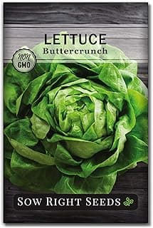Sow Right Seeds - Buttercrunch Lettuce Seeds for Planting - Non-GMO Heirloom Packet with Instructions to Plant a Home Vegetable Garden - Outdoors or Hydroponics Indoors - Heat Tolerant Variety (1)