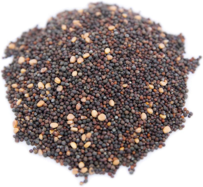 Superfood Microgreen Seeds Mix | for Microgreens Growing Trays | 1 LB | Heirloom Non GMO Purple Kohlrabi, Collard, Radish, Turnip & Broccoli Sprouts Seeds | Rainbow Heirloom Seed Co.