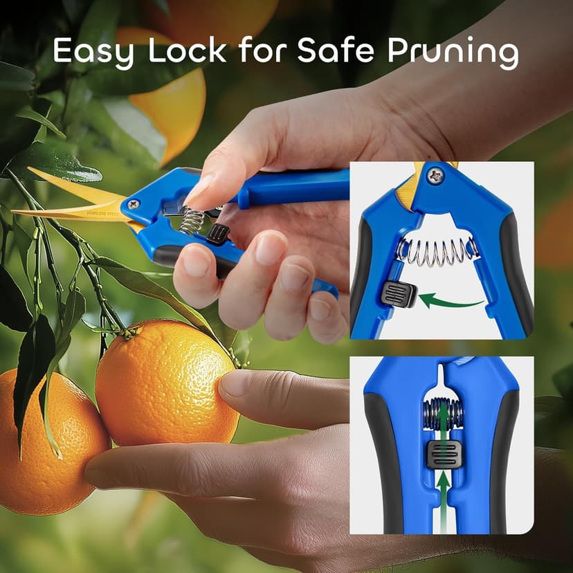 GROWNEER 6 Packs 6.5 Inch Pruning Shears with Curved Blades Trimming Scissors For Gardening Hand Pruning Snips Titanium Coated Precision Blades