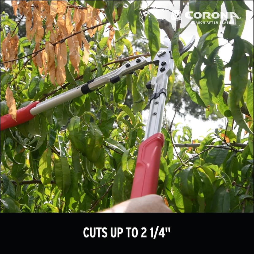 Corona X Series Pro 2-1/4 Inch Bypass Lopper