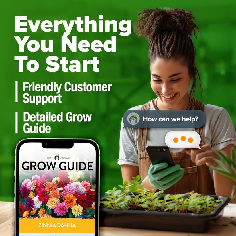 HOME GROWN Zinnia Dahlia Seeds Pack for 2025 – 524 𝗡𝗢𝗡-𝗚𝗠𝗢 𝗨𝗦𝗔 Flower Seeds | Vibrant Zinnia Elegans for Pollinator Gardens, Borders & Containers | Easy-to-Grow Outdoor Blooms