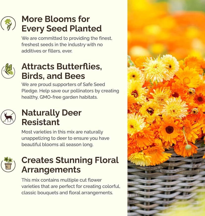 Eden Brothers Partial Shade Wildflower Mixed Seeds for Planting, 1/4 lb, 120,000+ Seeds with Sweet William, Foxglove | Attracts Pollinators, Plant in Spring or Fall, Zones 3, 4, 5, 6, 7, 8, 9, 10