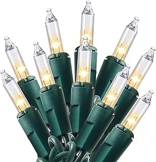Joiedomi Clear Christmas String Lights Indoor,100 Count Mini Warm White Fairy Light,21.5FT Lighting Decor for Patio Dorm Classroom Bedroom Holiday Wedding Party Garland Birthday Festival,Green Wire