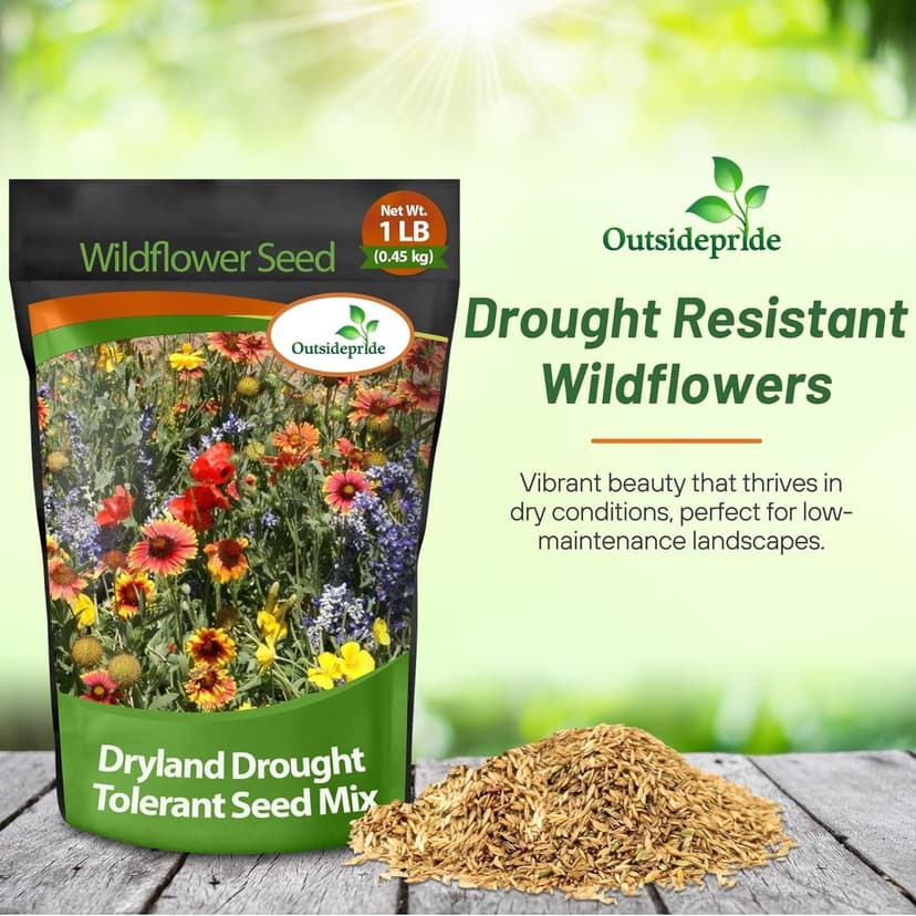 Outsidepride Dryland Wildflower Seed Mix - 1 lb. Colorful Blend of Drought Tolerant, Annual and Perennial Wildflower Seeds for Attracting Pollinators in Arid States & Xeriscapes