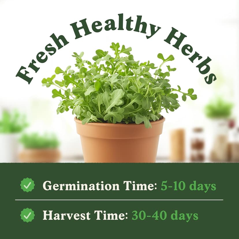 Organic Arugula 'Slow Bolt' Seeds for Planting Indoor and Outdoor, Non-GMO and USDA Certified Herb Seed Packet for Hydroponic Garden Indoor or Planting Outdoors (Slow Bolt Arugula)