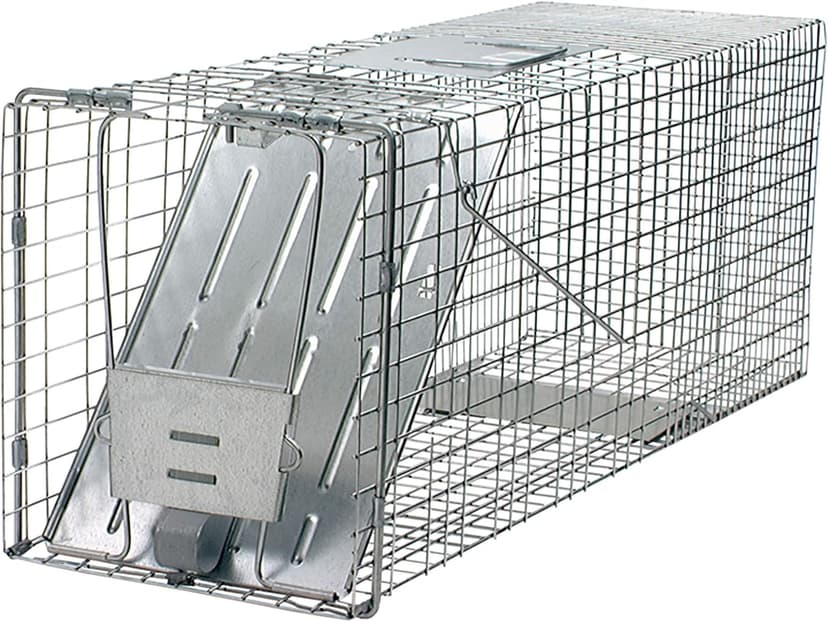 HAVAHART 1079SR Large 1-Door Humane Catch and Release Live Animal Trap Cage - Live Raccoon Trap, for Bobcats, Beavers, Dogs, & More