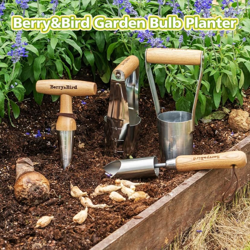 Hand Dibber – Precision Wood Handle Garden Hole Punch Dibbler Tool for Planting Seeds & Bulbs with 6'' Measuring Scale, Bulb Planter for Planting Flowers Tulips Daffodils Dahlias