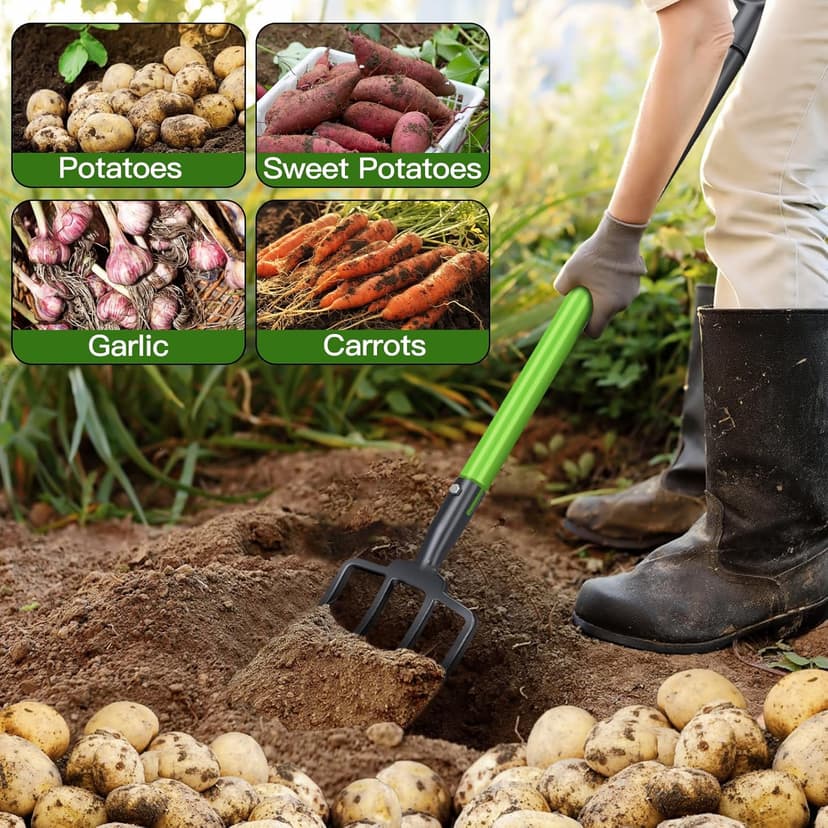 Heavy Duty Pitchfork,Garden Forks for Digging Compost Spading, 4-Tines Pitch Fork with High-Carbon Steel Handle, 45 inches Digging Fork(with Protective Gloves)