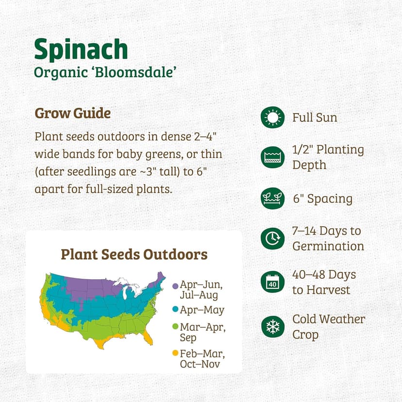 Seed Packet - Spinach