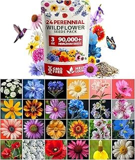 The 10 best perennial flower seeds of 2025