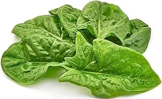 Heirloom Viroflay Spinach Seeds for Planting - 500 Seeds - Heirloom, Non-GMO, USA Grown, Premium Waterproof Protective Packaging by RDR Seeds