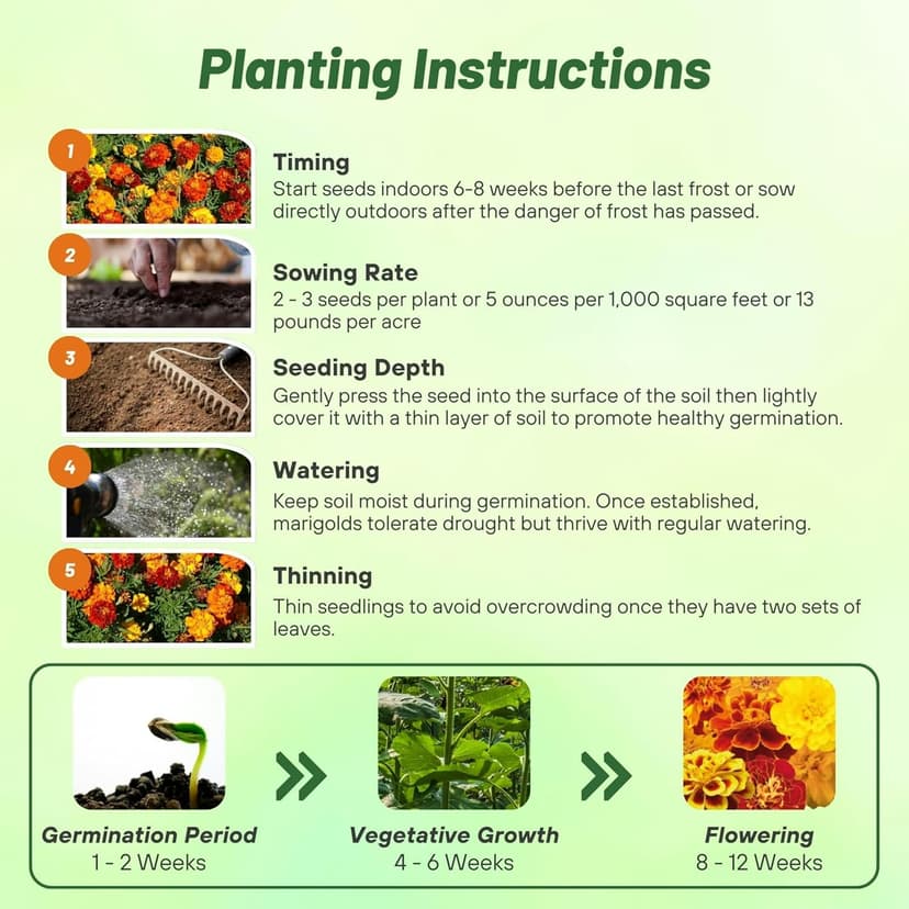Outsidepride French Marigold Seeds Mix - 1000 Pcs Annual, Compact, Heat & Drought Tolerant Flower Seeds for Planting w/Orange & Yellow Prolific Blooms, Ideal for Vibrant Pollinator Gardens