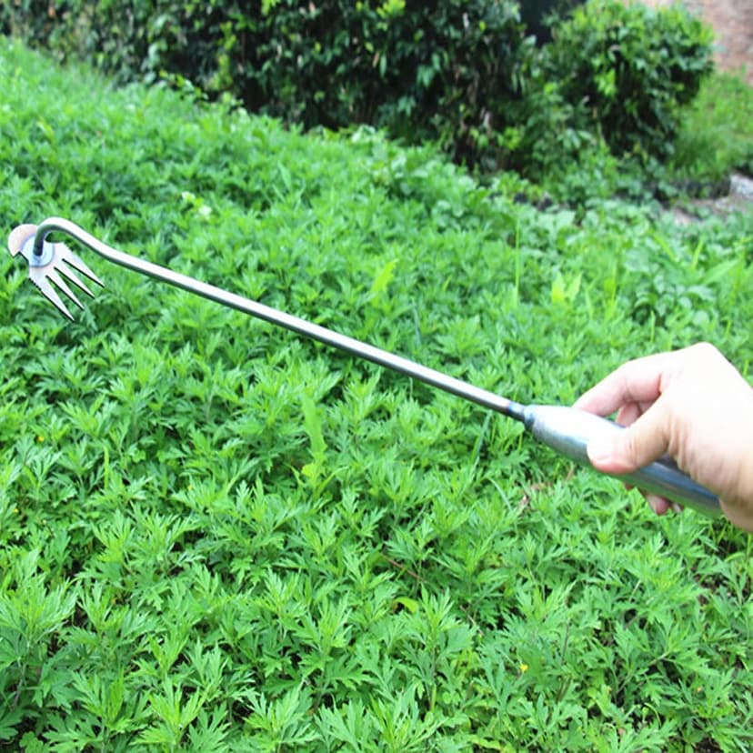 Everglowly Weeder, Everglowly Weed Removal Tool Long Handle, 4 Teeth Garden Weed Pulling Tool Uprooting Weeding Tool for Vegetable Garden Yard Planting (Large)