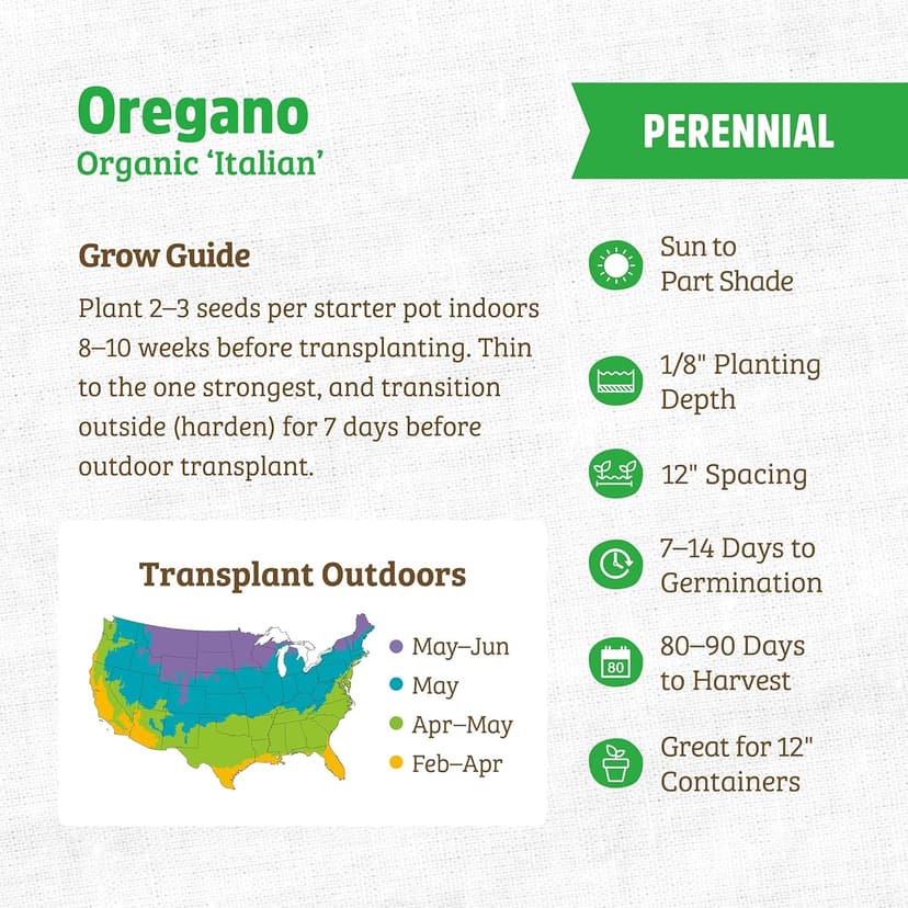 Back to the Roots - 100% Organic Seed Packet - Oregano 'Italian' 70mg