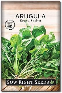 Sow Right Seeds - Arugula Seeds for Planting - Non-GMO Heirloom Seeds with Instructions to Plant a Home Vegetable Garden - Indoors, Hydroponics or Outdoors - Salad Greens - Grow Kitchen Herbs (1)