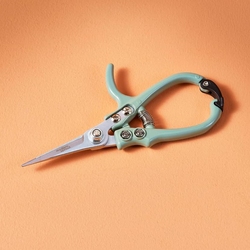 Modern Sprout Pruning Shears - Herb Snipping Scissors- Lightweight Gardening Tools W/Easy Lock - Flower Cutter Garden Shears - Carbon Steel Blade + Plastic-Free Reusable Holster (Green, 1-Pack)