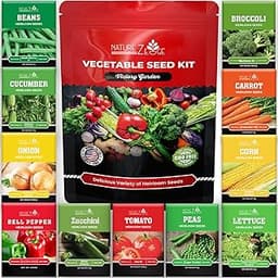 The 13 best vegetable seeds of 2025