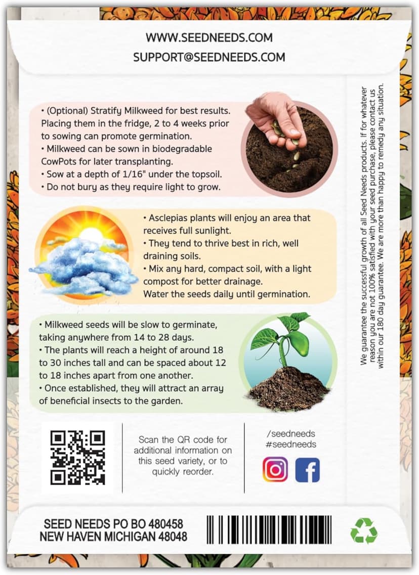 Seed Needs Orange Butterfly Milkweed Seeds for Planting - Heirloom & Untreated - Grow a Butterfly Garden to Attract Monarch Butterflies & Pollinators (2 Packs)