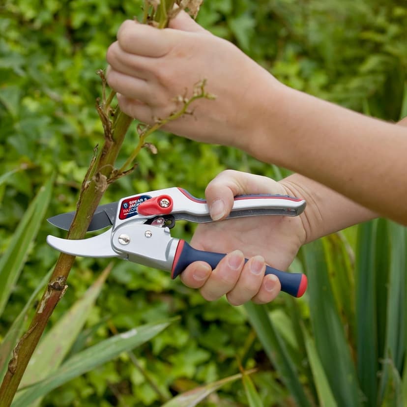 Spear & Jackson 6458RS Razorsharp Ratchet Anvil Pruners / Pruning Shears with Rotating Ergonomic Handle, Blue, 21.5 x 6.5 x 2.5 cm