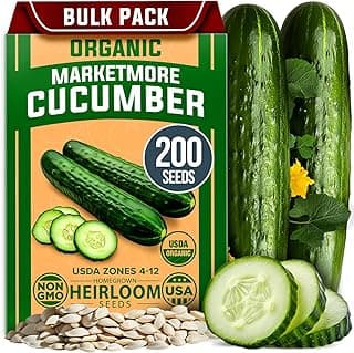 HOME GROWN Organic Cucumber Seeds - 200 Marketmore Heirloom 𝗡𝗢𝗡-𝗚𝗠𝗢 𝗨𝗦𝗔 Vegetable Seeds for Planting in Trellises,Raised Beds,Containers - Beginners and Experienced Gardeners(Cucumis sativus)