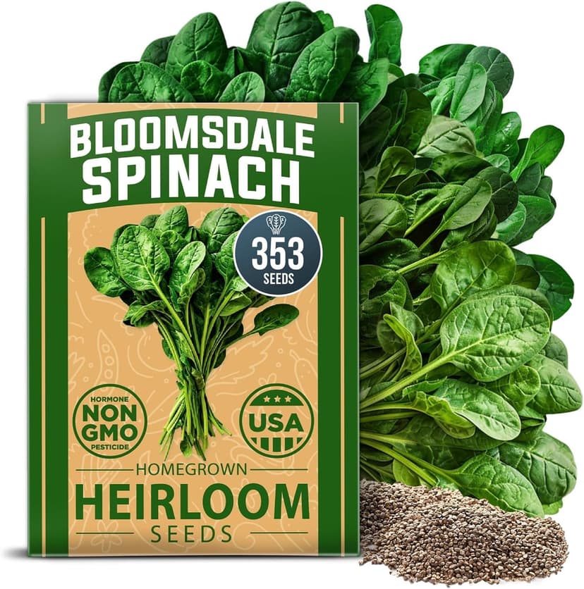HOME GROWN Bloomsdale Spinach Seeds Pack – 353 Heirloom 𝗡𝗢𝗡-𝗚𝗠𝗢 𝗨𝗦𝗔-𝗦𝗢𝗨𝗥𝗖𝗘𝗗 Seeds – High Germination Spinach for Indoor, Outdoor, Hydroponic Planting & Home Gardens (Spinacia oleracea)