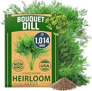 HOME GROWN Dill Seeds for Planting - 1014 Premium Bouquet Dill Seeds, 𝗡𝗢𝗡-𝗚𝗠𝗢 𝗨𝗦𝗔 and Heirloom Herb Seeds for Planting Outdoors, Grow Your Fragrant Dill Herb Garden (Anethum graveolens)