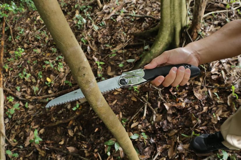 Silky Professional Series PocketBoy Folding Saw 170mm Medium Teeth (340-17)