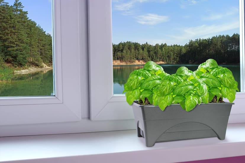 Emsco Group Start Pickin' Raised Bed Grow Box – Self Watering and Improved Aeration – Starter Box or Small Herb Garden Growing - 10" Bed - 12x20 Growing Area - Slate