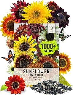 Seed Needs Sunflower Seeds for Planting The Original Crazy Blend | 1 Ounce 15+ Heirloom Varieties Open Pollinated & Untreated | Resealable Bulk Package Multicolored Blooms Flower Seeds