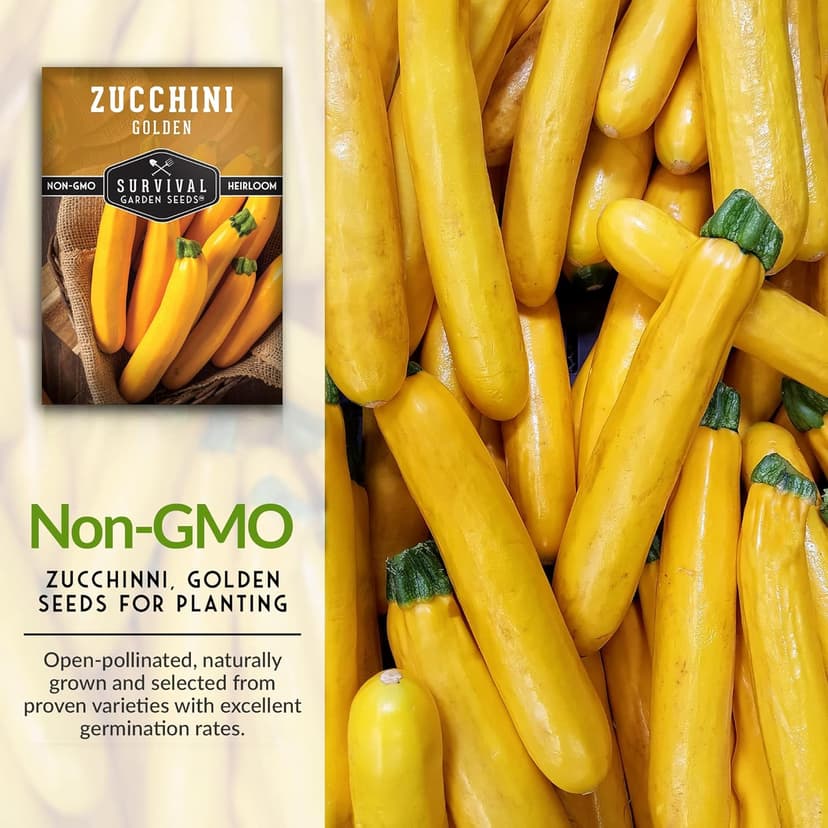 Survival Garden Seeds - Golden Zucchini Seeds for Planting - Packet with Instructions to Plant & Grow Yellow Zucchini Vegetables in Your Home Vegetable Garden - Non-GMO Heirloom Variety Plant Seed