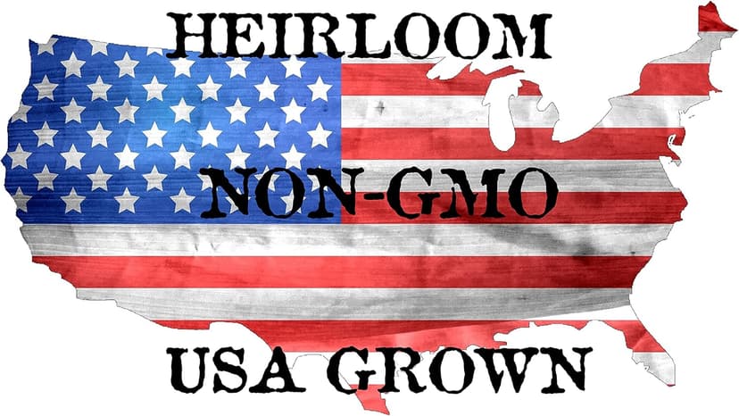 300+ Roma Tomato Seeds - Heirloom Non-GMO USA Grown Premium Seeds for Planting by RDR Seeds