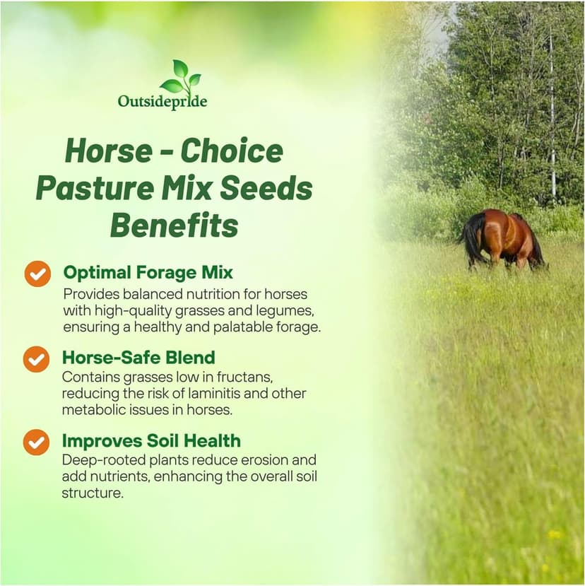 Outsidepride Horse Choice Pasture & Livestock Grass Seed Mix - 25 Lbs Perennial, Drought Tolerant, Cold Hardy, & High Yield Lawn Grass Seeds for Grazing, Hay, Silage, & Greenchop