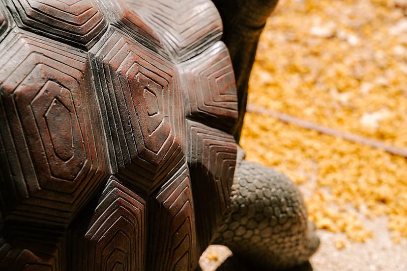 XBrand 28" L Brown and Black Concrete/MgO Walking Tortoise Statue, Indoor or Outdoor Décor, Garden Sculptures, Turtle Garden Statue