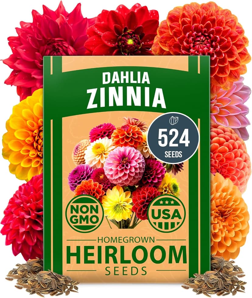 HOME GROWN Zinnia Dahlia Seeds Pack for 2025 – 524 𝗡𝗢𝗡-𝗚𝗠𝗢 𝗨𝗦𝗔 Flower Seeds | Vibrant Zinnia Elegans for Pollinator Gardens, Borders & Containers | Easy-to-Grow Outdoor Blooms