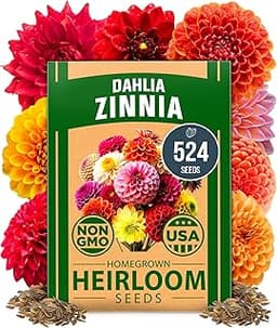 The 15 best seeds for containers of 2025